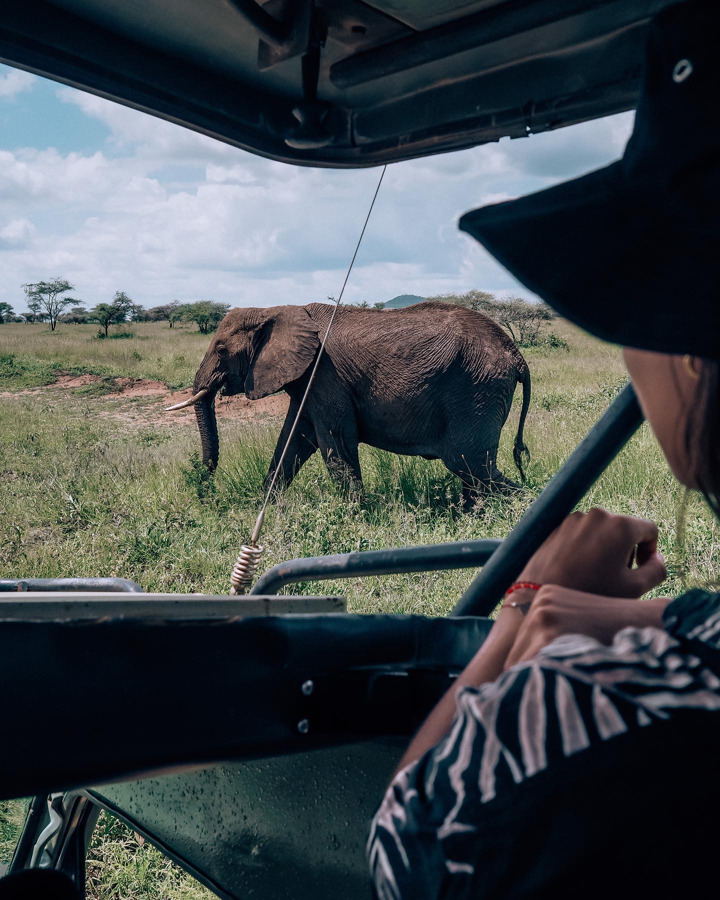 Safari Tours Africa Reviews